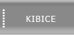 kibice